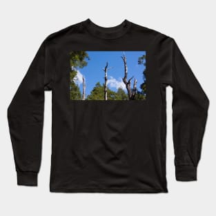 reaching high Long Sleeve T-Shirt